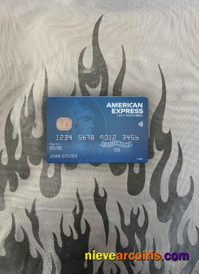 USA Fifth Third bank AMEX blue cash preferred card photolook